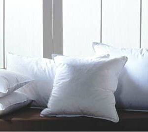 ALMOHADA HOSPITALARIA + PROTECTOR ANTIFLUIDO